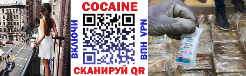 Купить закладки  Вилюйск  Cocaine FishScale 