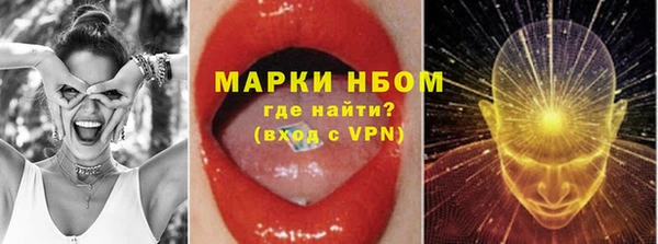 стафф Арсеньев