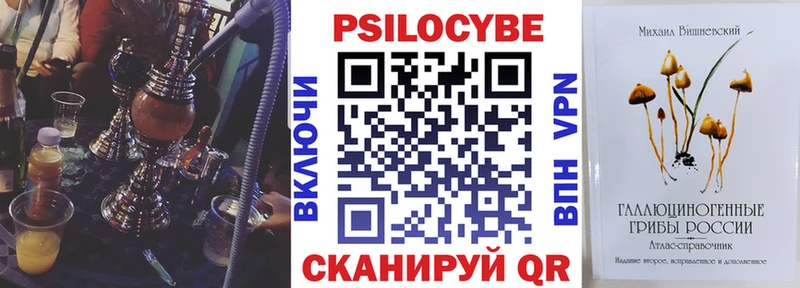 Купить закладки  Вилюйск  Псилоцибиновые грибы Cubensis 