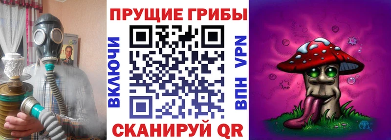 Псилоцибиновые грибы Psilocybe Вилюйск